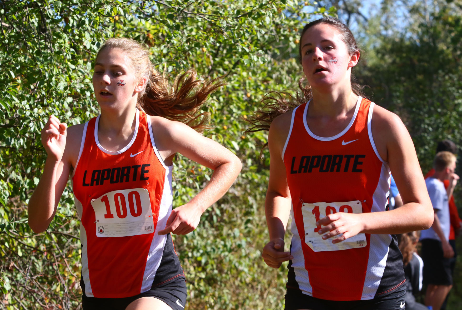 Gallery: Duneland Athletic Conference cross country meet